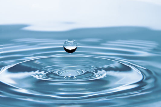 Cleaning Your Plunge